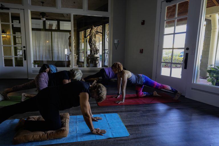a group of people doing yoga
