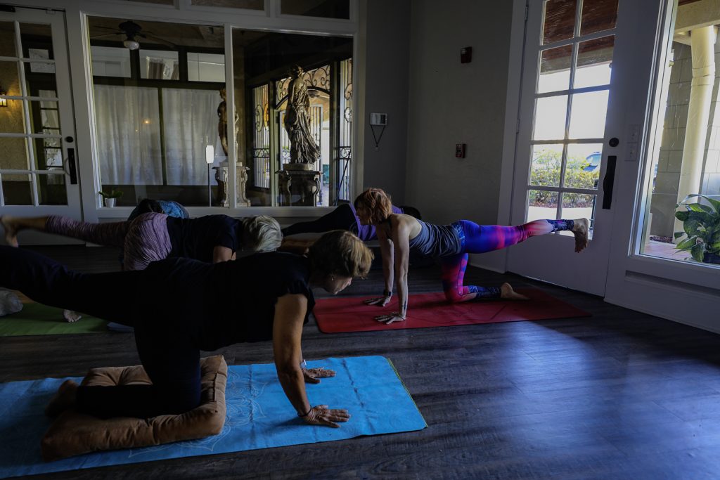 a group of people doing yoga
